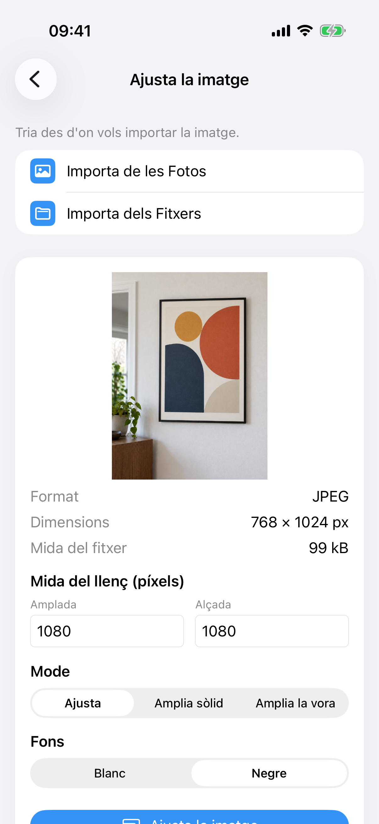 ImageSetta Ajusta la imatge amb la foto del quadre, mida del llenç, mode Ajusta i fons Blanc.