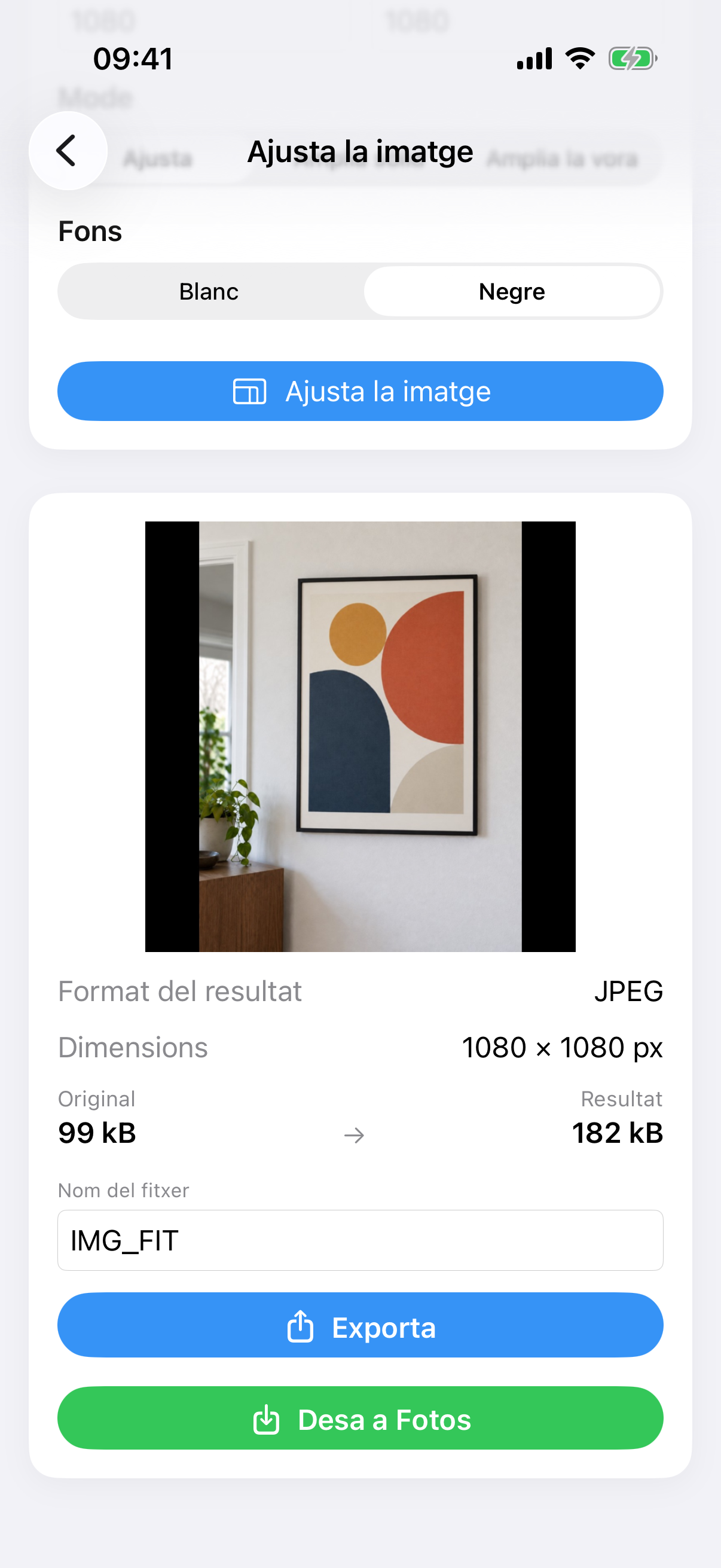 Resultat d’ImageSetta Ajusta la imatge: la foto completa del quadre en un llenç blanc quadrat.