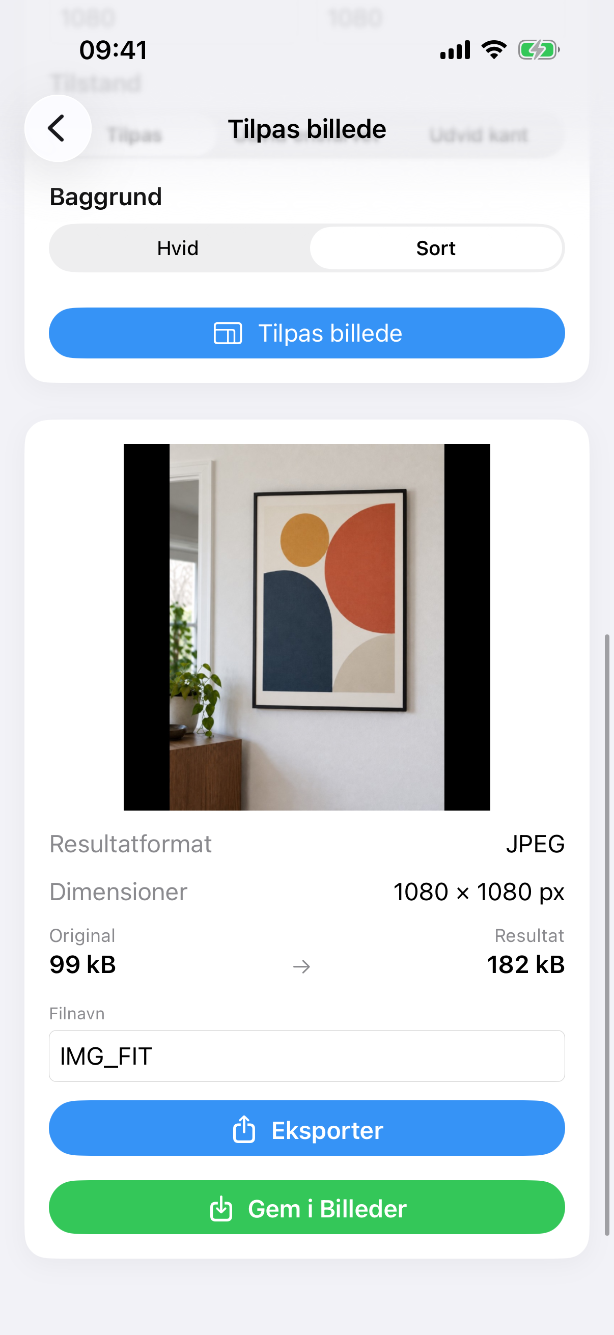 ImageSetta Tilpas billede-resultat: hele malerifotoet på et kvadratisk hvidt lærred.