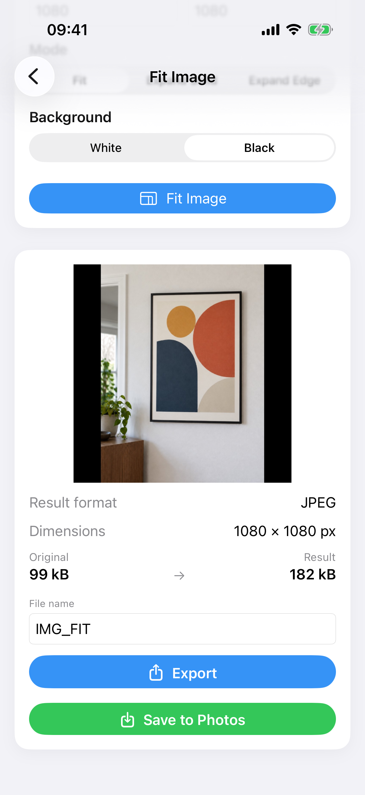 ImageSetta Fit Image result: the full painting photo placed on a square black canvas.
