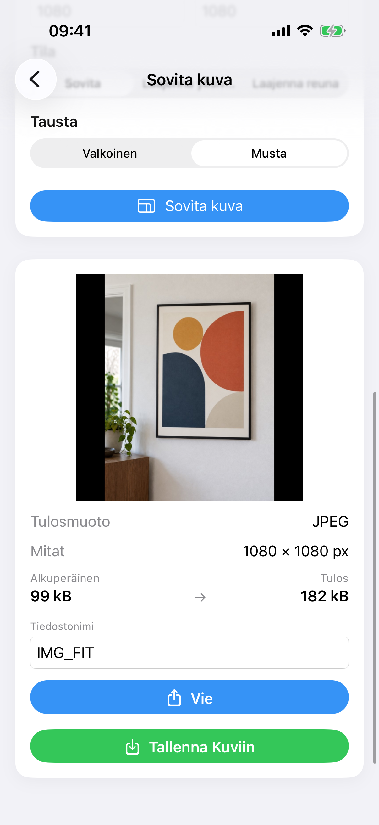ImageSetta Sovita kuva -tulos: koko maalauskuva neliönmuotoisella valkoisella kankaalla.