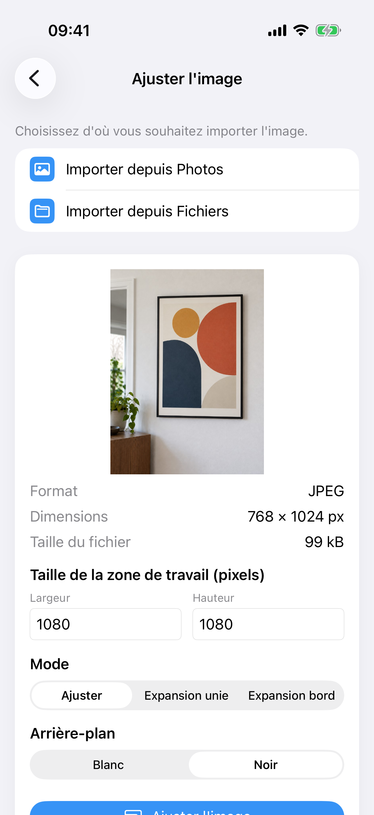 ImageSetta Ajuster l'image avec la photo du tableau, taille de canevas, mode Ajuster et fond Blanc.