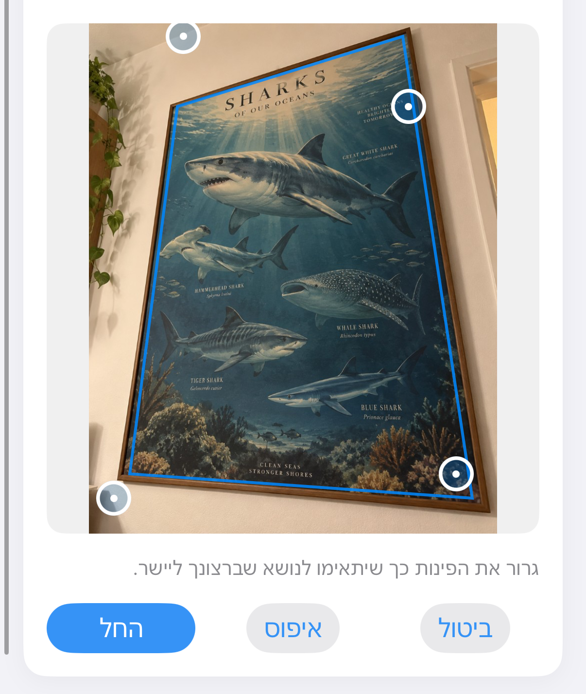 ImageSetta יישור: פוסטר הכריש שצולם בזווית, עם ידיות כחולות על היצירה.