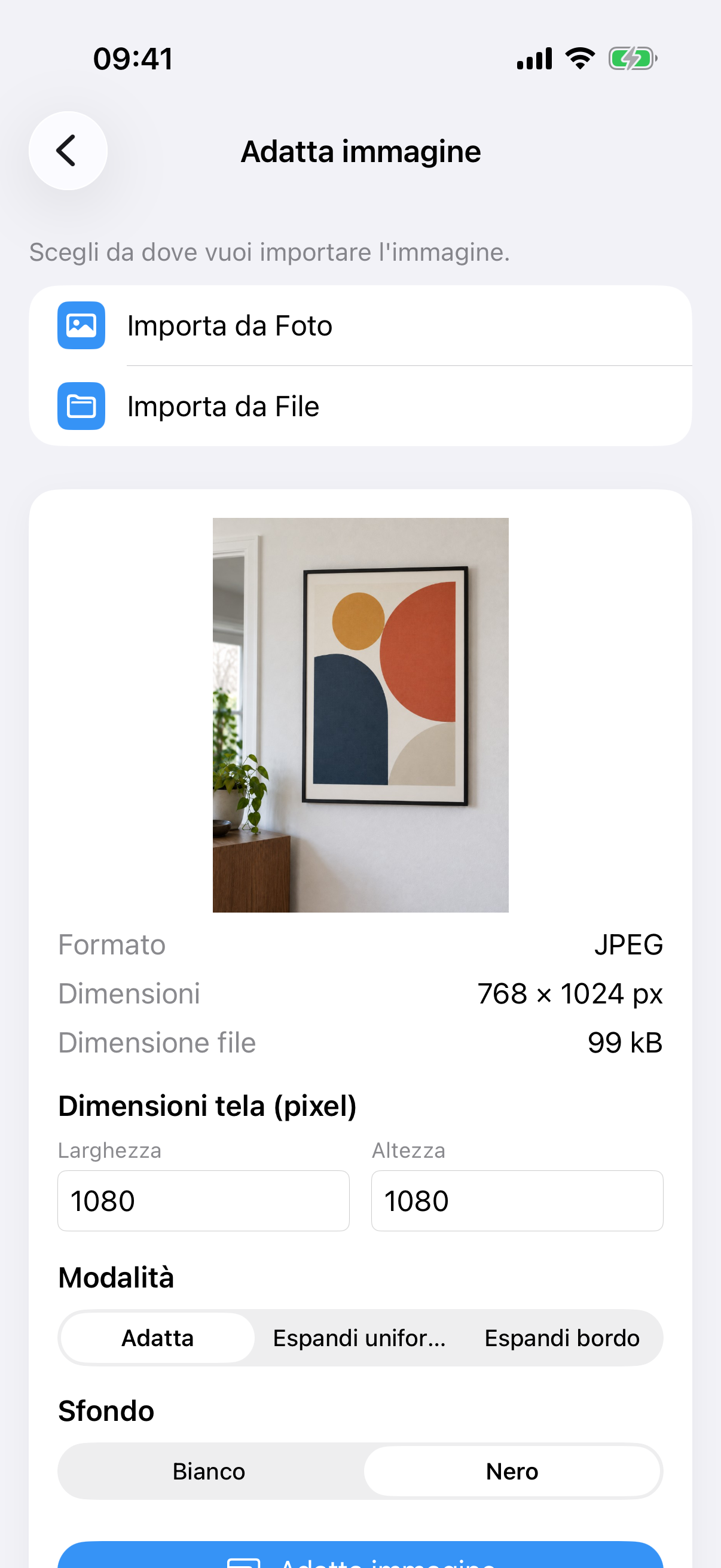 ImageSetta Adatta immagine con la foto del dipinto, dimensione del canvas, modalità Adatta e sfondo Bianco.