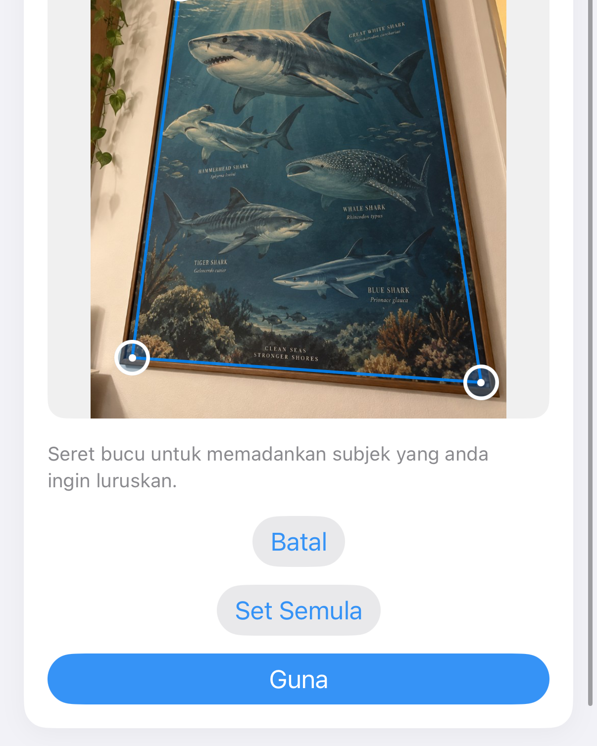 ImageSetta Luruskan: poster jerung diambil condong, dengan pemegang biru pada karya.