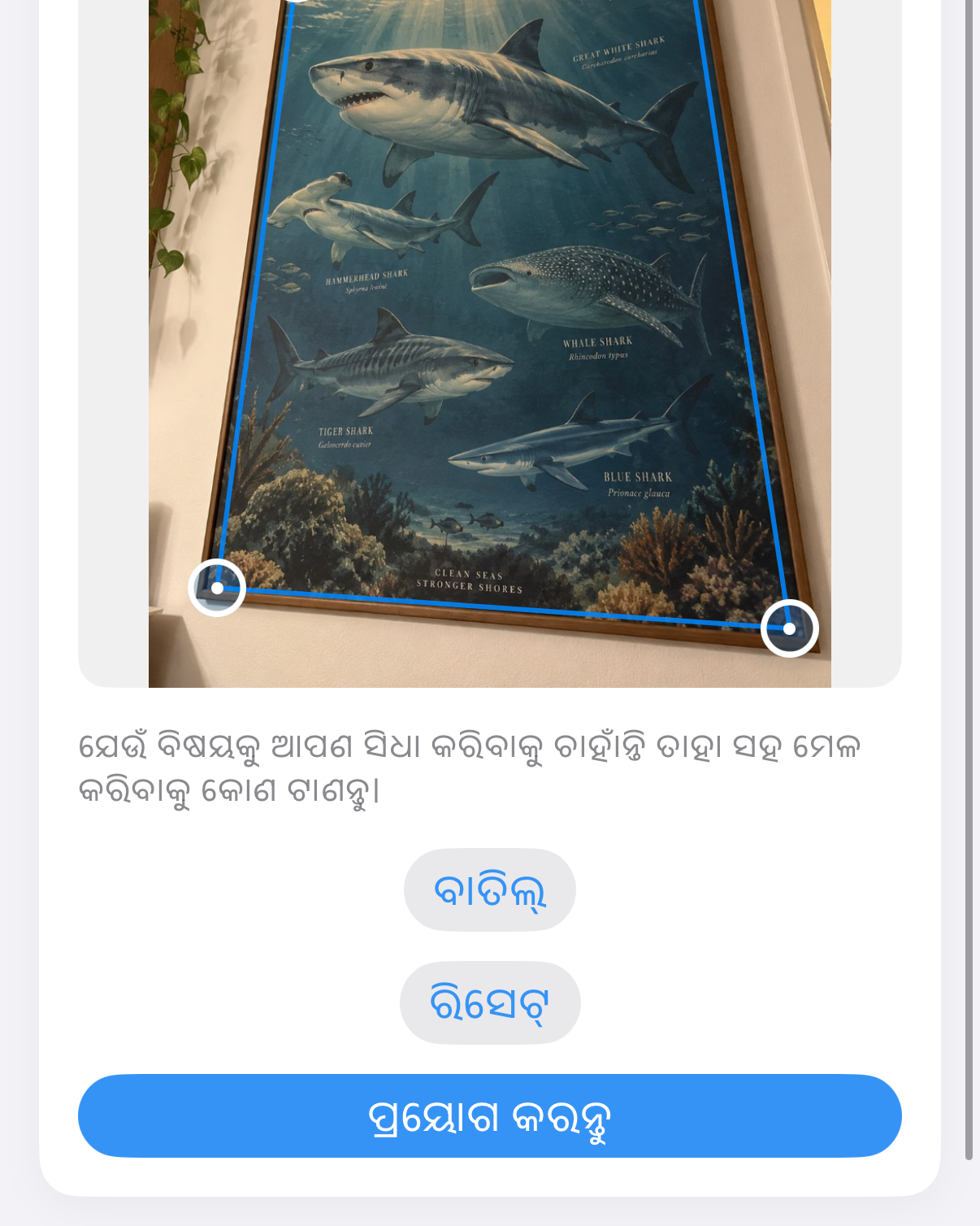 ImageSetta ସିଧା କରନ୍ତୁ: ତେର୍ଛା ନିଆଯାଇଥିବା ଶାର୍କ ପୋଷ୍ଟର, କୃତିରେ ନୀଳ କୋଣ ହ୍ୟାଣ୍ଡଲ୍।