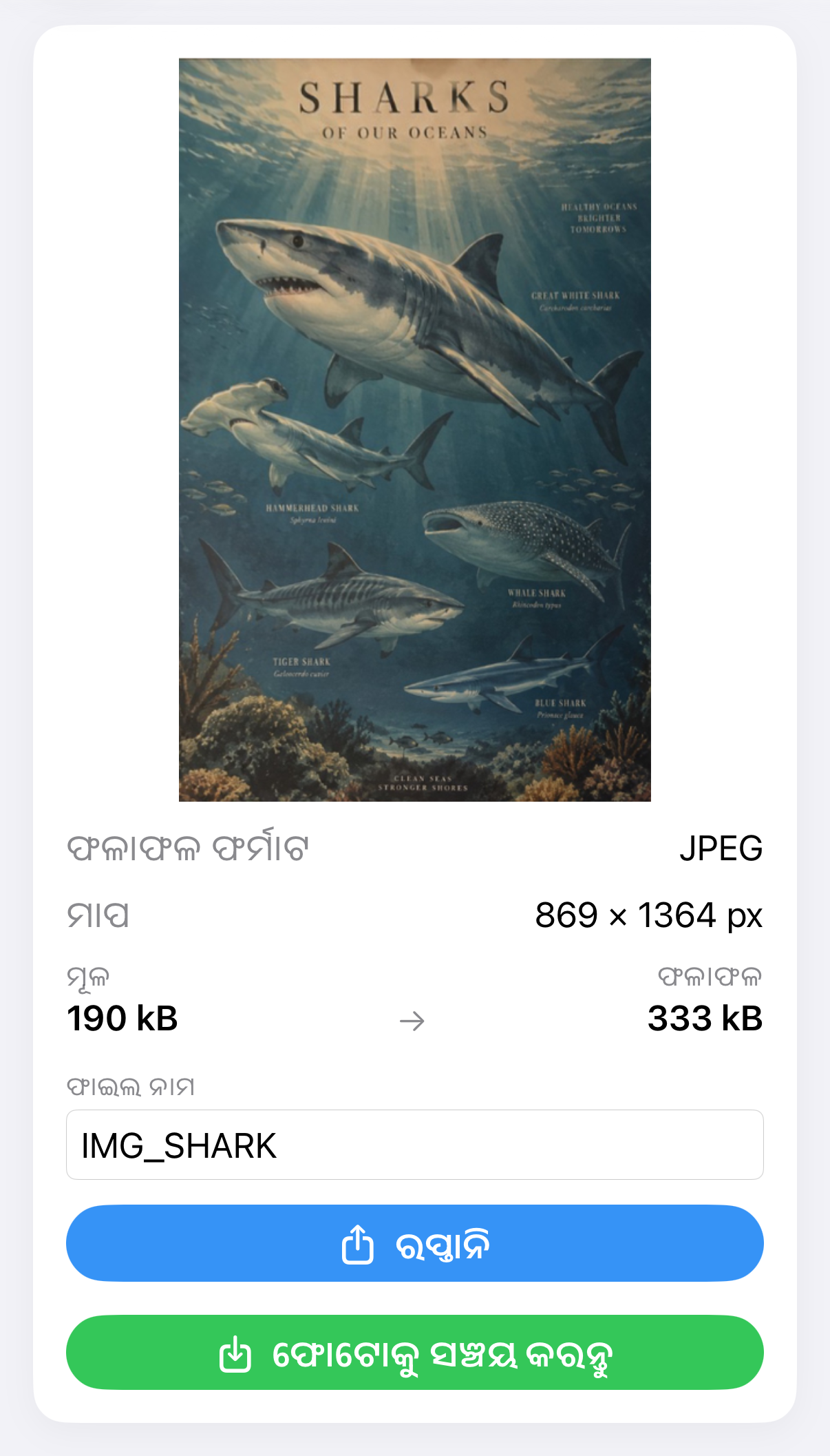 ImageSetta ସିଧା କରନ୍ତୁ ଫଳାଫଳ: ପରିପ୍ରେକ୍ଷ୍ୟ ସଂଶୋଧନ ପରେ ସେହି ଶାର୍କ ପୋଷ୍ଟର।