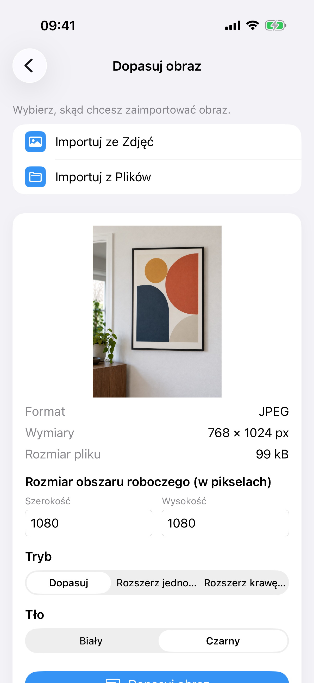 ImageSetta Dopasuj obraz ze zdjęciem obrazu, rozmiarem płótna, trybem Dopasuj i tłem Biały.