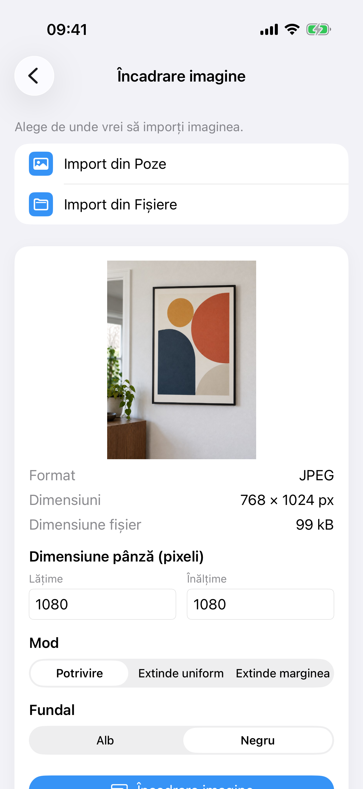 ImageSetta Încadrare imagine cu fotografia tabloului, dimensiunea canvasului, modul Potrivire și fundal Alb.