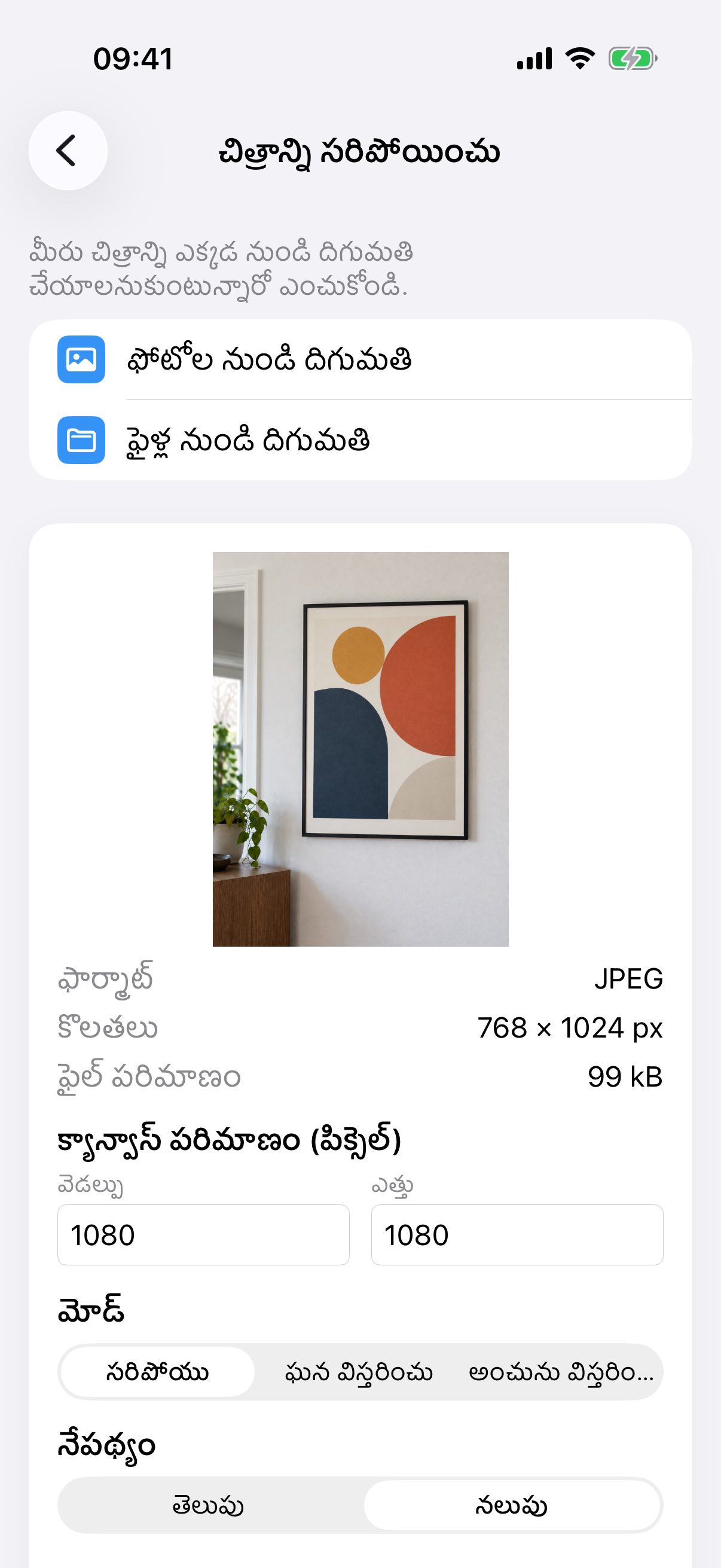 చిత్రపట ఫోటో, కాన్వాస్ పరిమాణం, సరిపోయు మోడ్, తెలుపు నేపథ్యంతో ImageSetta చిత్రాన్ని సరిపోయించు.