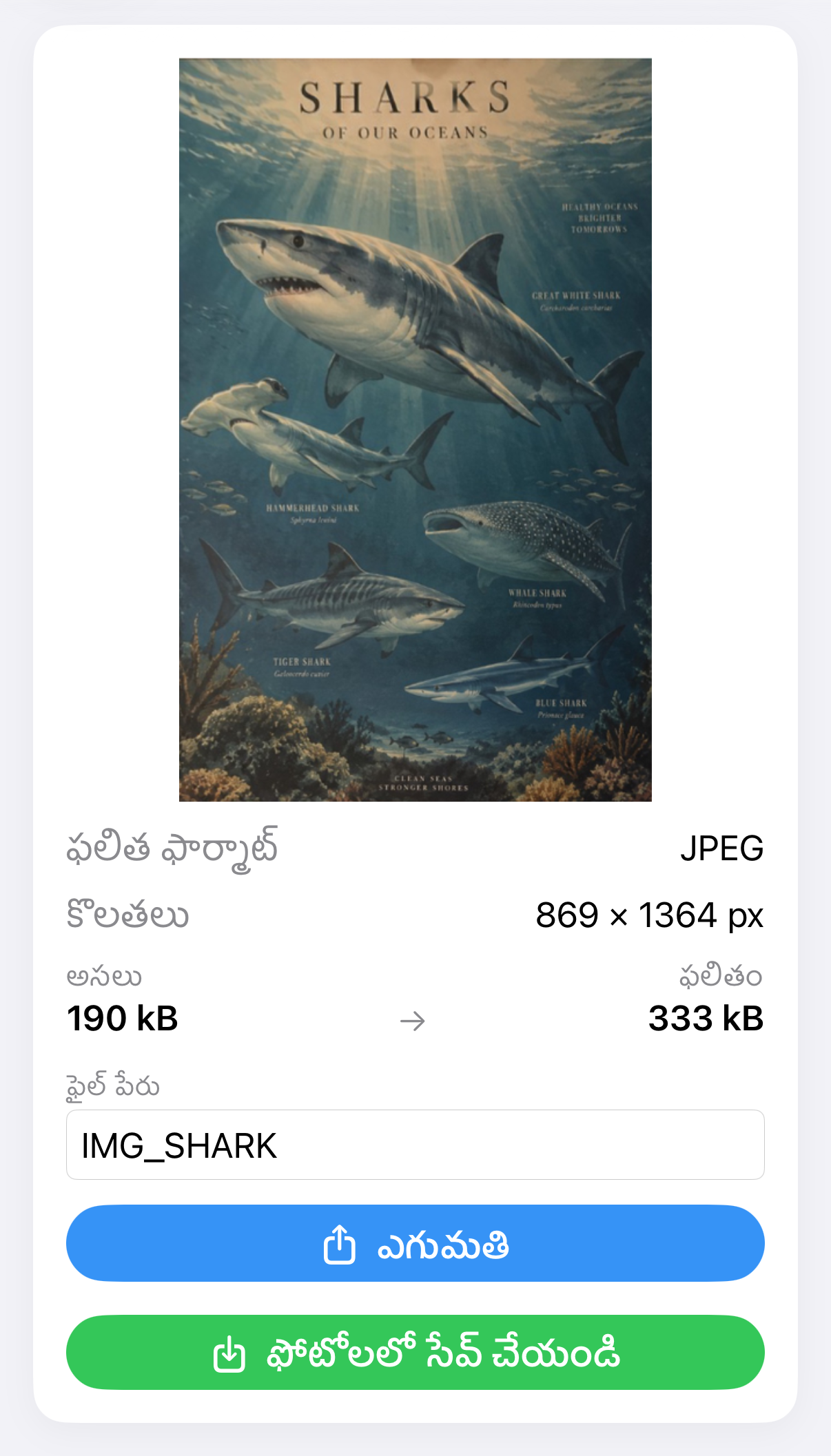 ImageSetta సరిచేయి ఫలితం: దృష్టికోణ సవరణ తర్వాత అదే సొరచేప పోస్టర్.