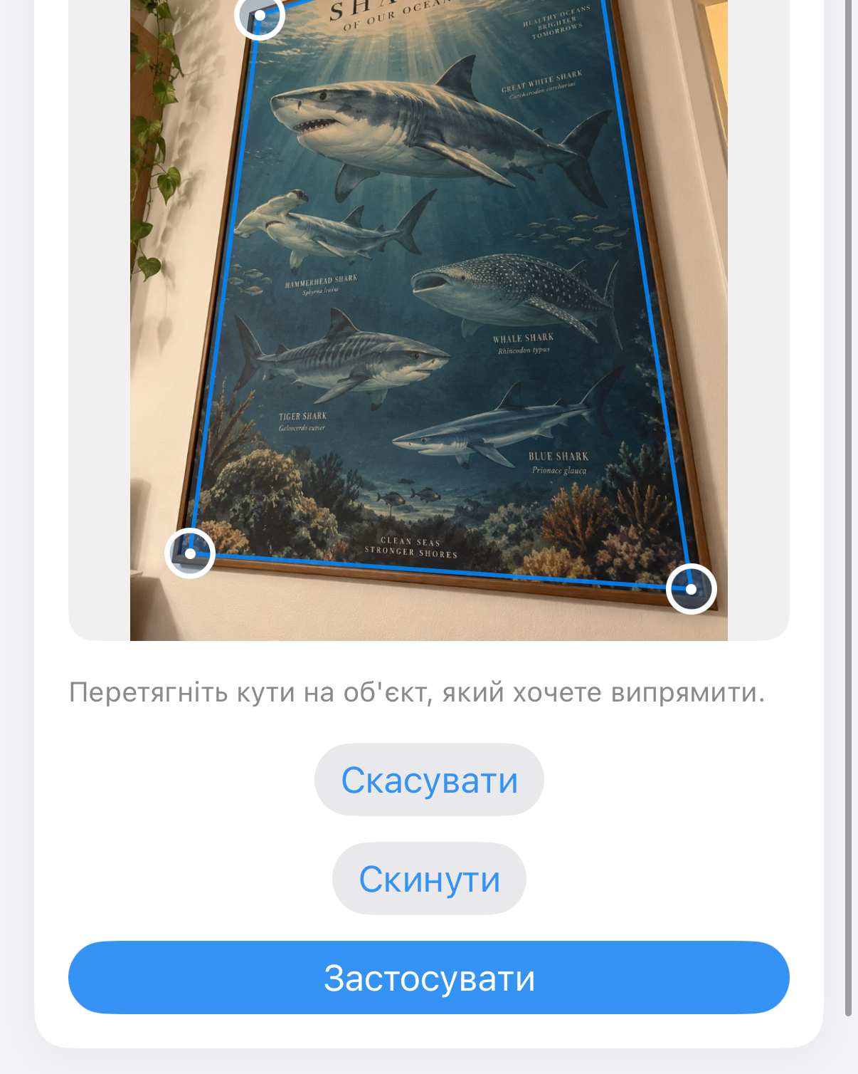 ImageSetta Вирівняти: постер з акулою, знятий під кутом, із синіми маркерами на роботі.