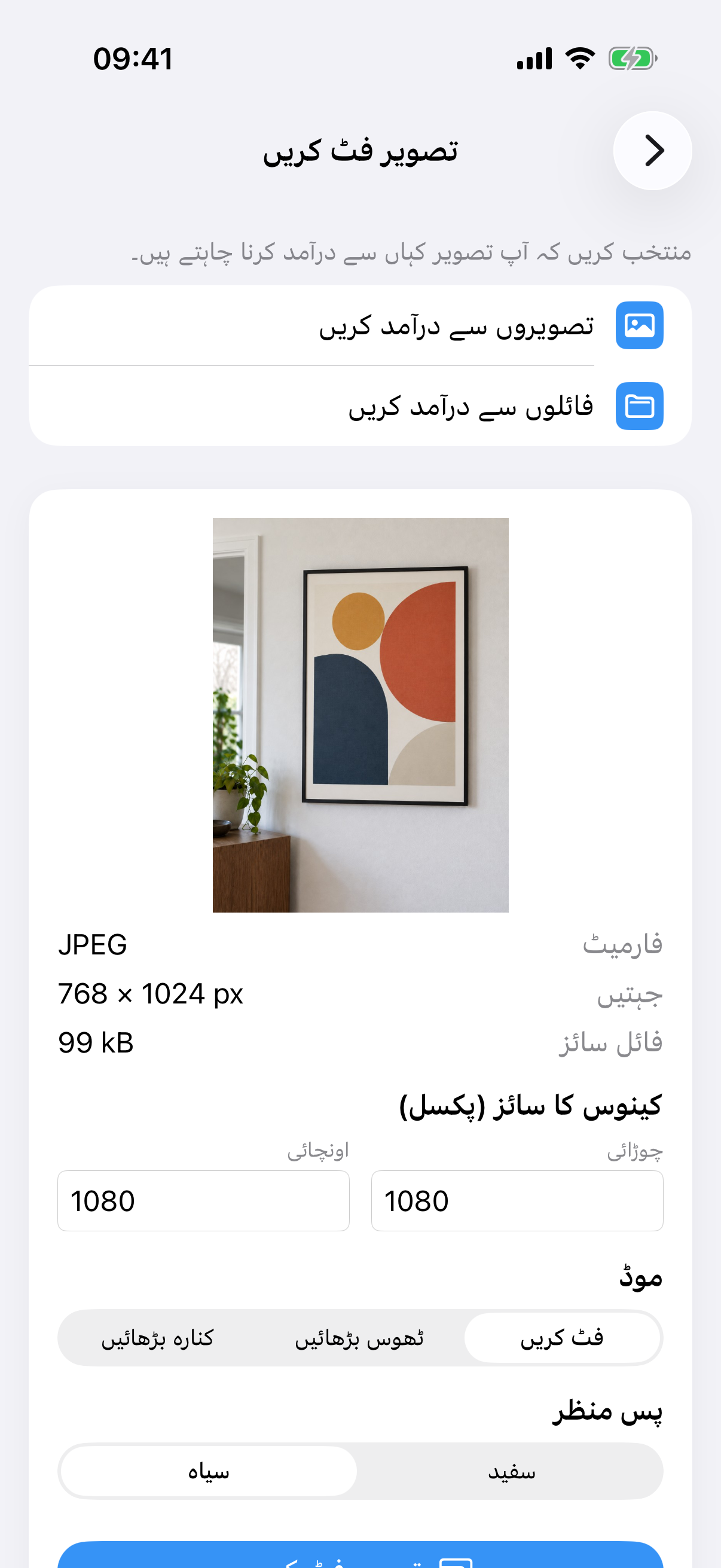 پینٹنگ فوٹو، کینوس سائز، فٹ کریں موڈ اور سفید پس منظر کے ساتھ ImageSetta تصویر فٹ کریں۔