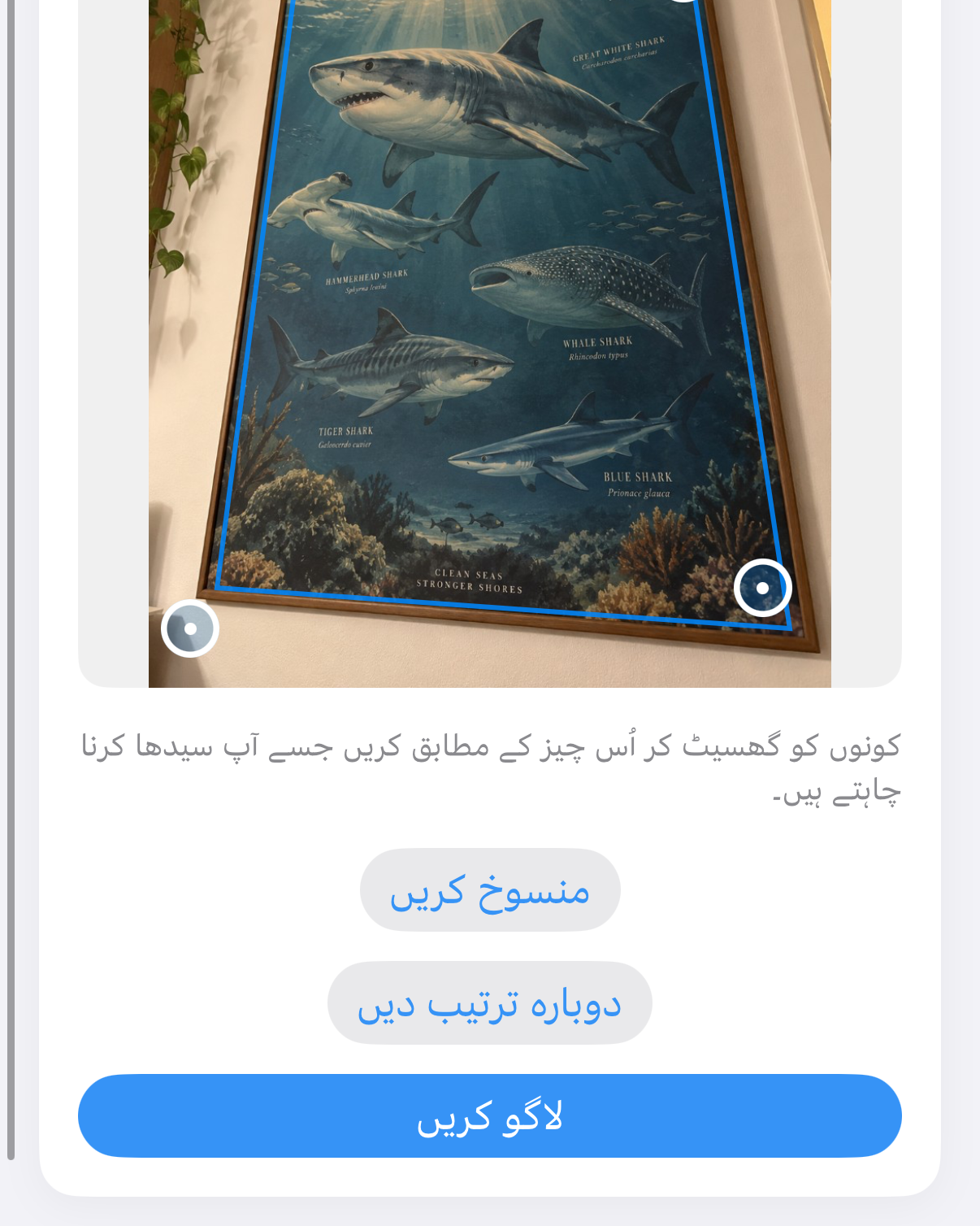 ImageSetta سیدھا کریں: ترچھی لی گئی شارک پوسٹر، فن پارے پر نیلی کونے کی ہینڈلز۔
